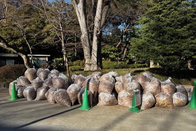 90���b�g���̑܂��悻100�ܕ��i��9,000���b�g���j�̗����t